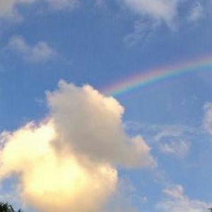 Meet your Posher, Sofia